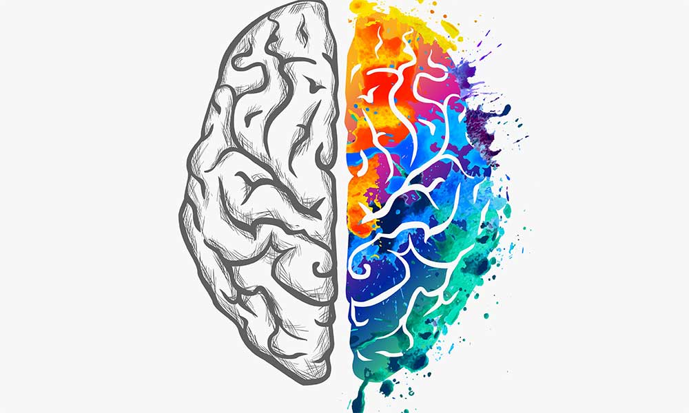 How To Become A Cognitive Psychologist: Degree & Career Guide