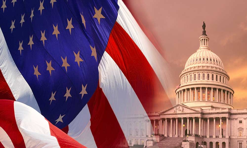 The Three Branches Of Criminal Justice