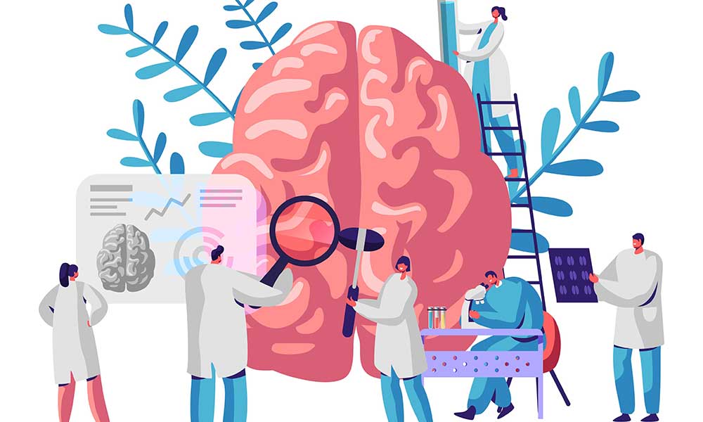 Types Of Jobs In Biopsychology